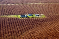 OREGON FROM THE AIR