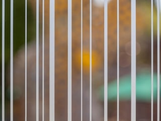 Oregon Zoo EDUCATION CENTER, Portland OR - Walker Glass - Montreal, Canada